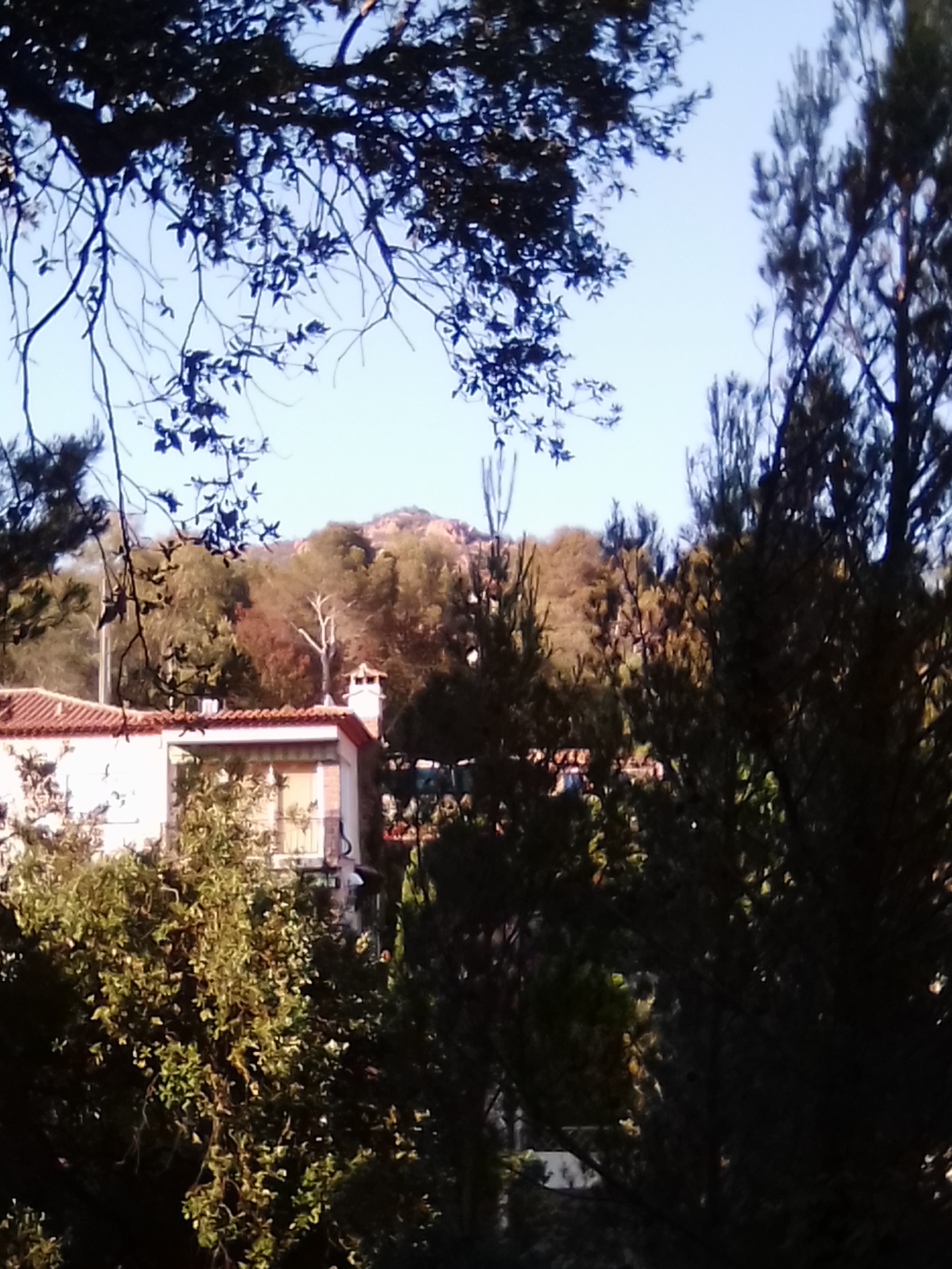Photo n° 1 de l'avis de Kamila.a fait le 10/11/2019 à 19:05