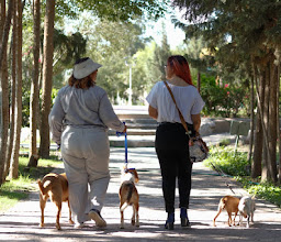 Satélite Park photo