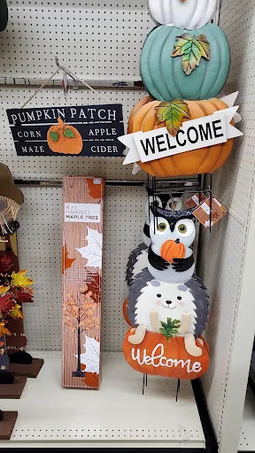 Discount Store «Big Lots», reviews and photos, 3333 Preston Rd #700, Frisco, TX 75034, USA