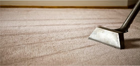 7 Days Carpet Cleaning & Pest Control