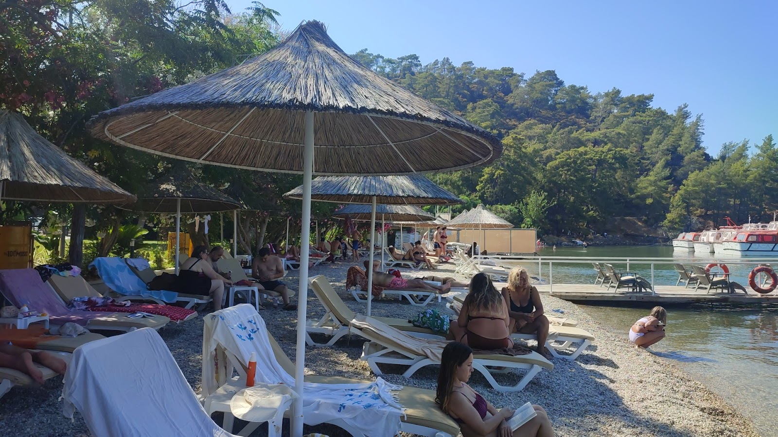Alesta Plaji'in fotoğrafı ve yerleşim