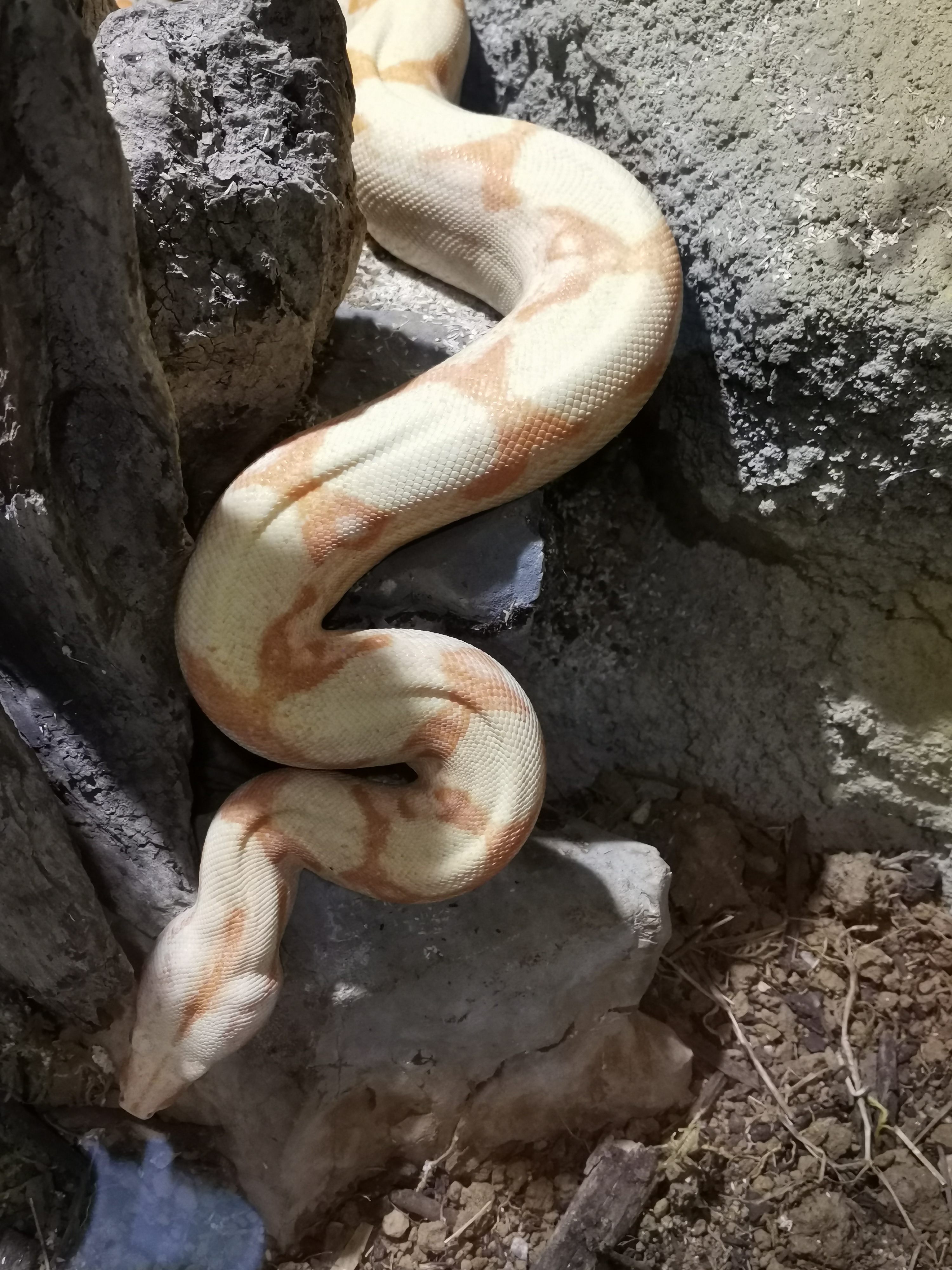 Photo n° 11 de l'avis de Jerome.a fait le 23/10/2021 à 18:04