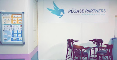 PEGASE PARTNERS -Siege Social à Villeneuve-d'Ascq