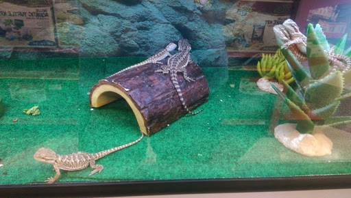 Pet Supply Store «Petco Animal Supplies», reviews and photos, 18200 NW Evergreen Pkwy, Beaverton, OR 97006, USA