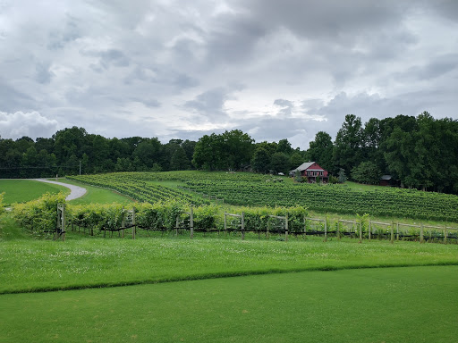 Winery «CeNita Vineyards, Winery & Tasting Room», reviews and photos, 591 Dock Dorsey Rd, Cleveland, GA 30528, USA