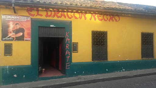 Escuela de Artes Marciales el Dragon Negro