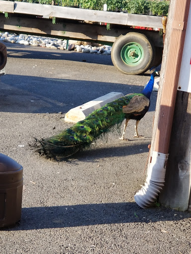 Liquor Store «Liquor Barn», reviews and photos, 1051 Florence Columbus Rd a, Bordentown, NJ 08505, USA