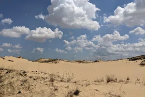 Oleshky Sands National Nature Park image