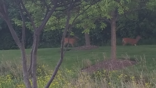 Park «Heritage Oaks Park», reviews and photos, 310 N Fairfield Rd, Hawthorn Woods, IL 60047, USA