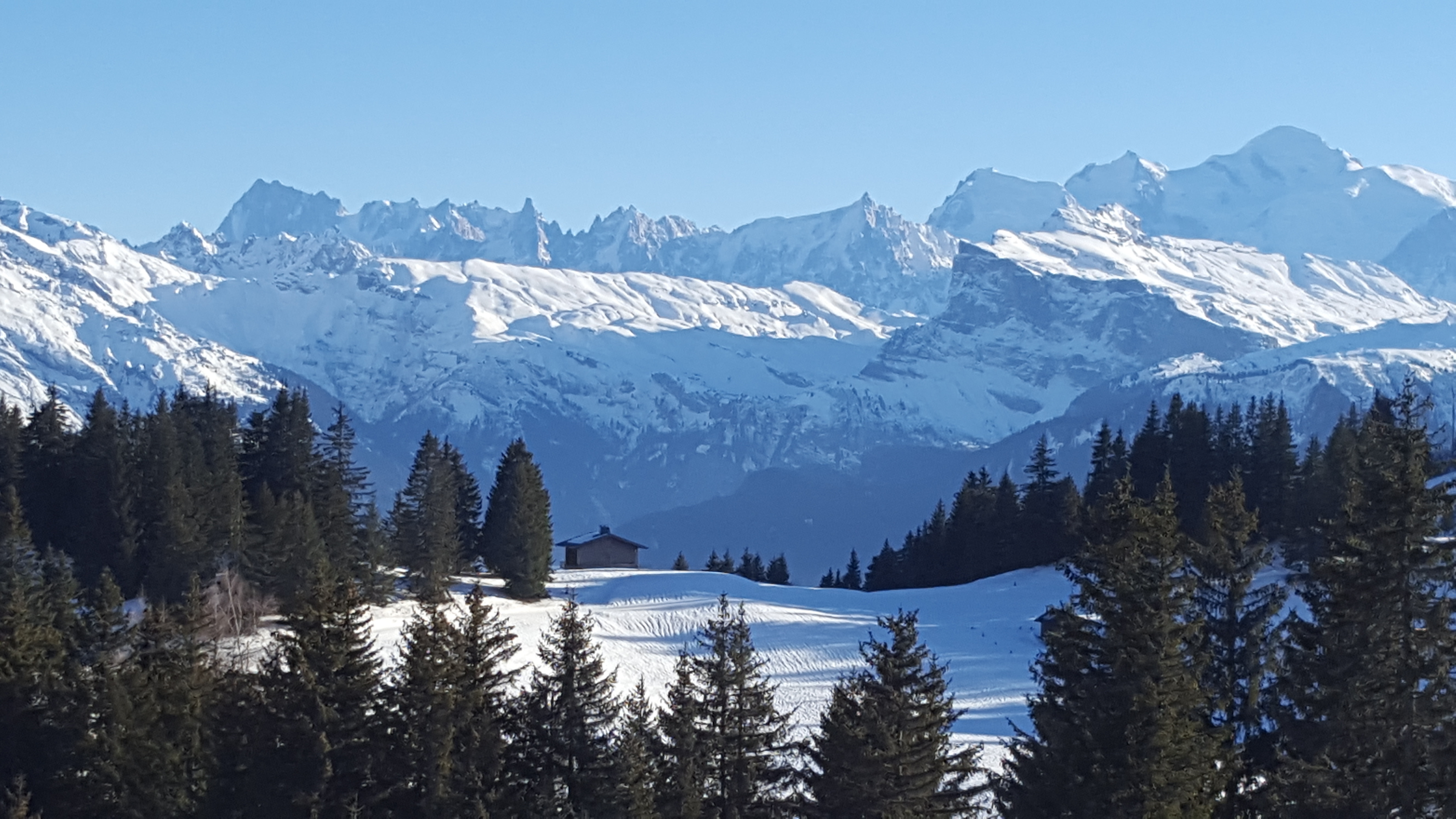 Photo n° 1 de l'avis de Luc.a fait le 01/01/2019 à 16:14