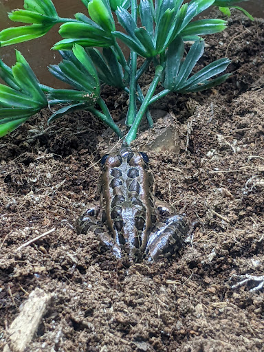 Nature Preserve «Meigs Point Nature Center», reviews and photos, 1288 Boston Post Rd, Madison, CT 06443, USA