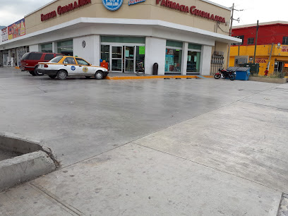 Farmacia Guadalajara, , El Temporal