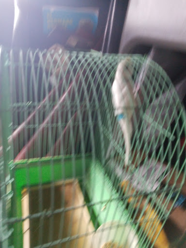 Pet Store «Inez Pet Shop», reviews and photos, 3825 Whittier Blvd, Los Angeles, CA 90023, USA