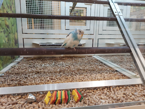 Pet Supply Store «PetSmart», reviews and photos, 5591 TN-153, Hixson, TN 37343, USA