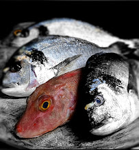 Poisson du Restaurant Né de la mer à Châteauroux - n°4