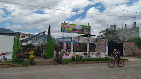 Vivero El Jardin Del Eden