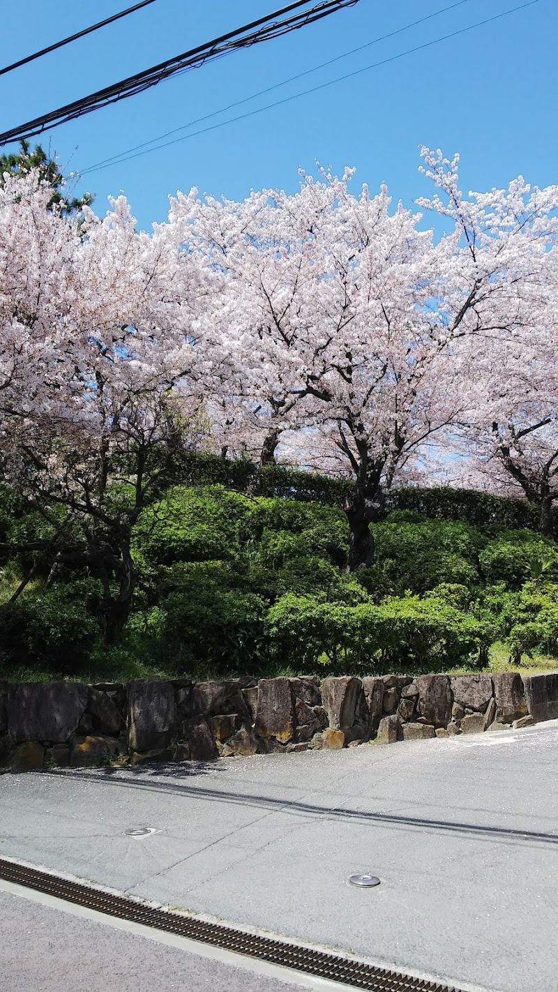 道明寺盾塚古墳公園