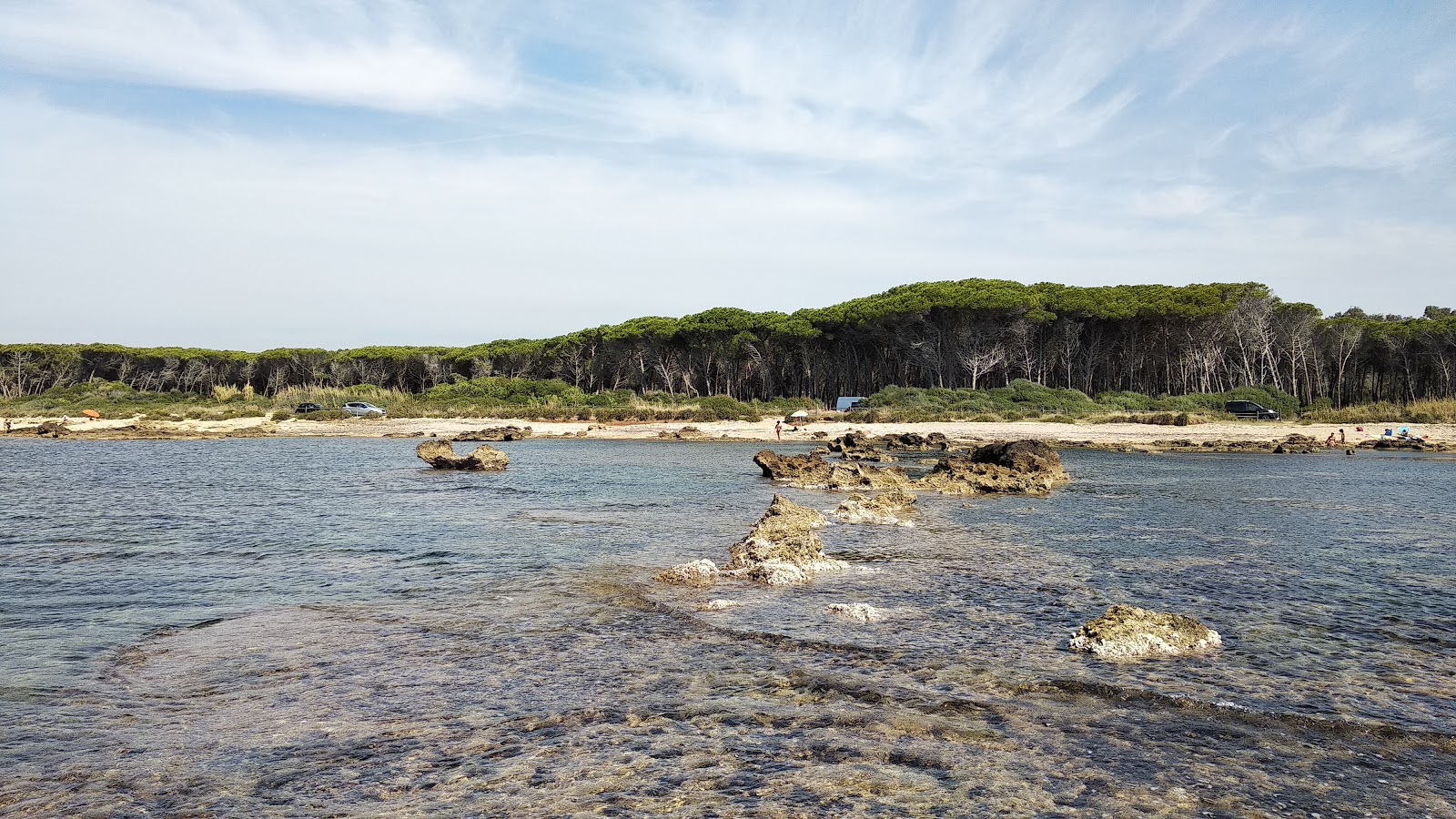 Foto av Tsunami Beach med något ren nivå av renlighet