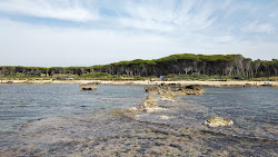 Foto av Tsunami Beach med något ren nivå av renlighet