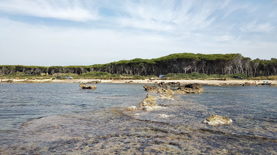 Tsunami Beach