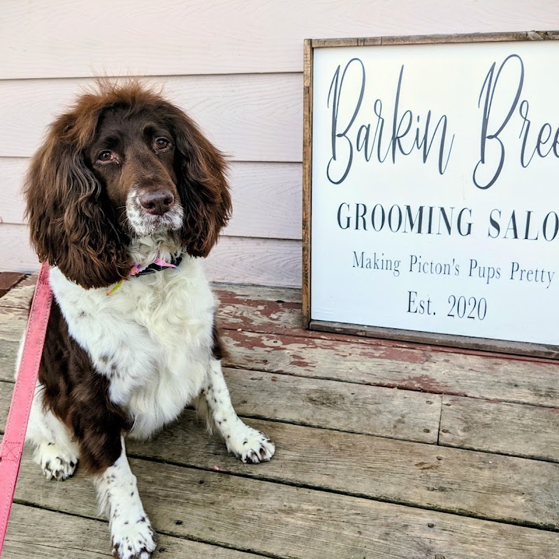 Barkin' Bree's Grooming Salon