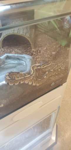 Pet Supply Store «PetSmart», reviews and photos, 156 Old Little Britain Rd, Newburgh, NY 12550, USA