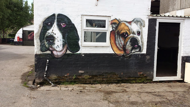 Society for Abandoned Animals - Manchester