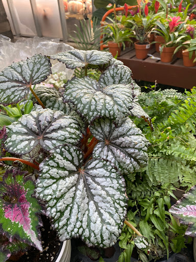 Home Improvement Store «The Home Depot», reviews and photos, 800 Commerce Blvd, Dickson City, PA 18519, USA