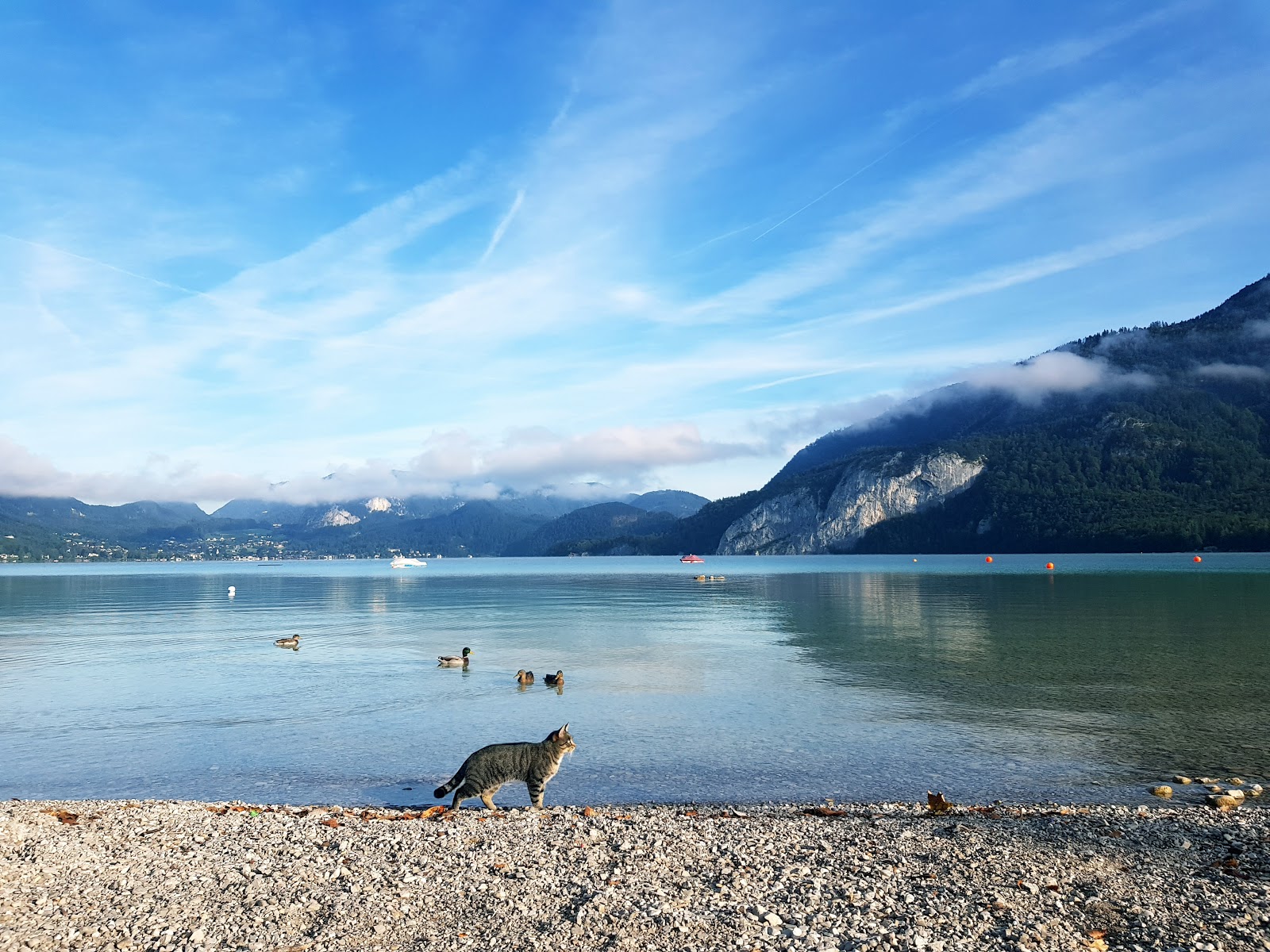 Schwand Strand的照片 具有非常干净级别的清洁度