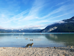 Foto de Schwand Strand área selvagem