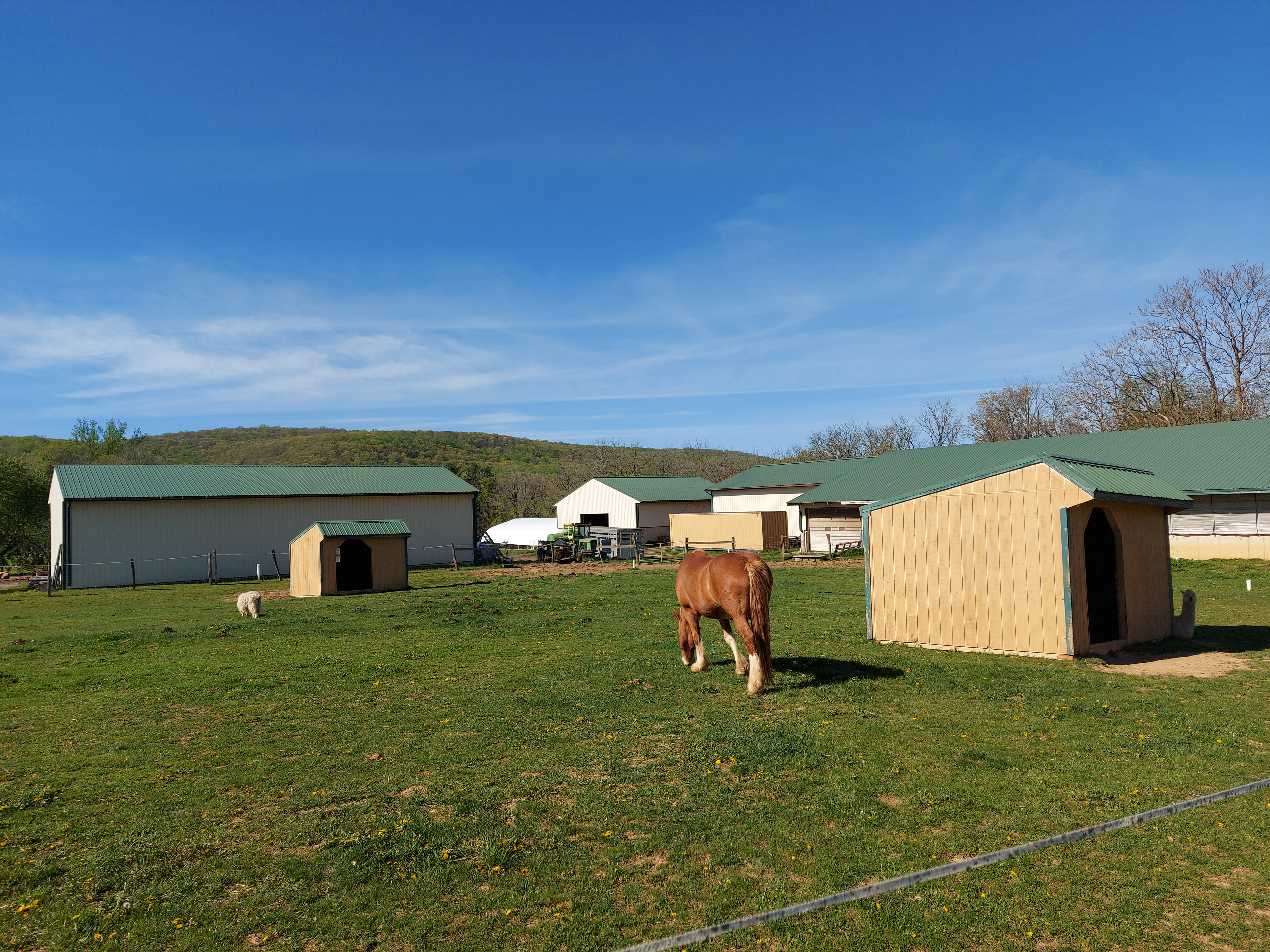 Picture of a place: Valley Shepherd Creamery