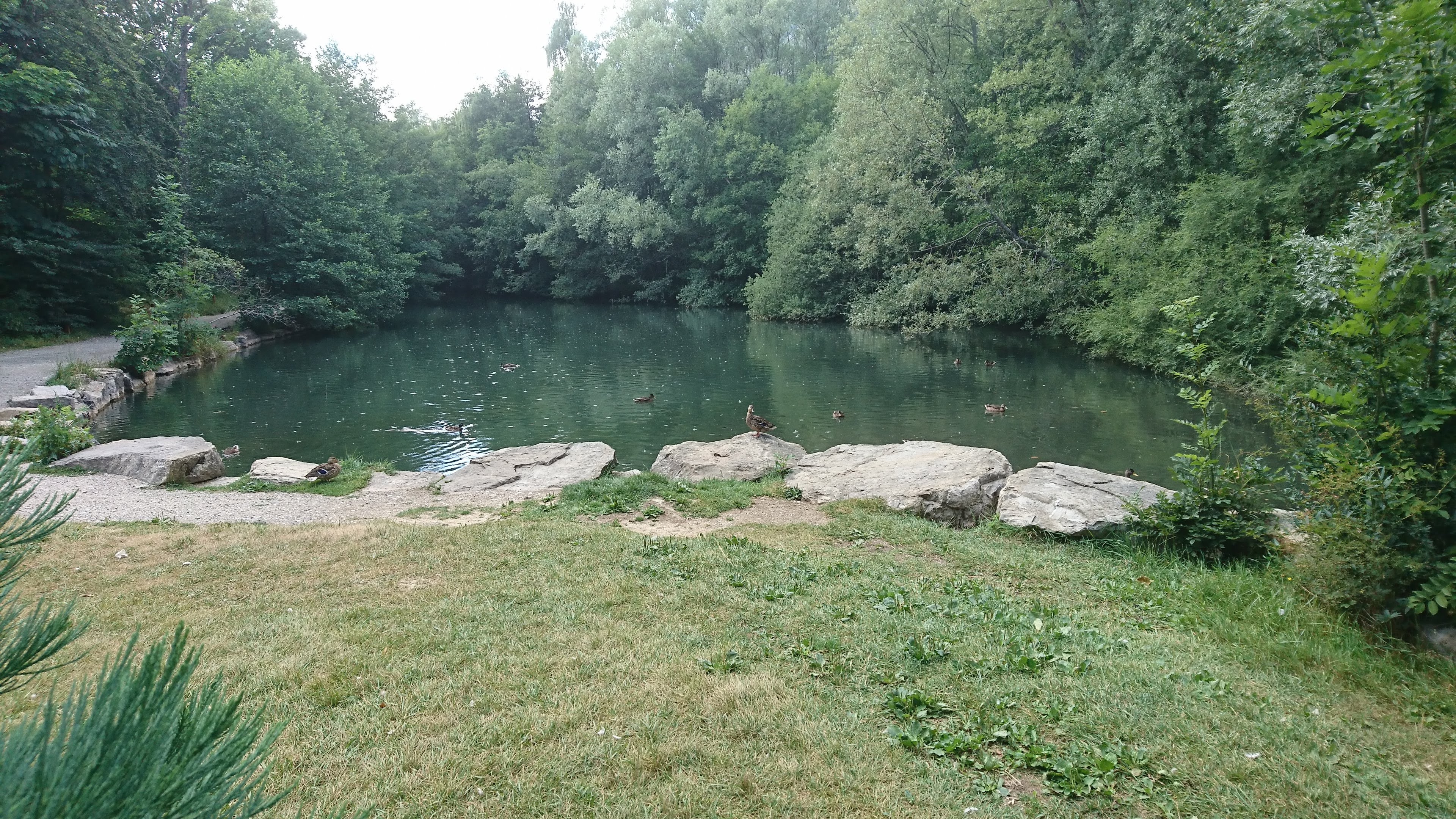 Photo n° 3 de l'avis de Jenny. fait le 23/07/2018 à 06:46