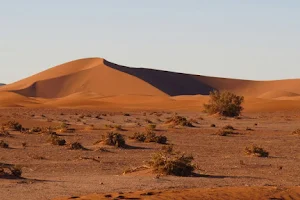 Adventures Desert image