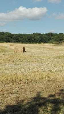 Agricentre Dumas à Flavignac