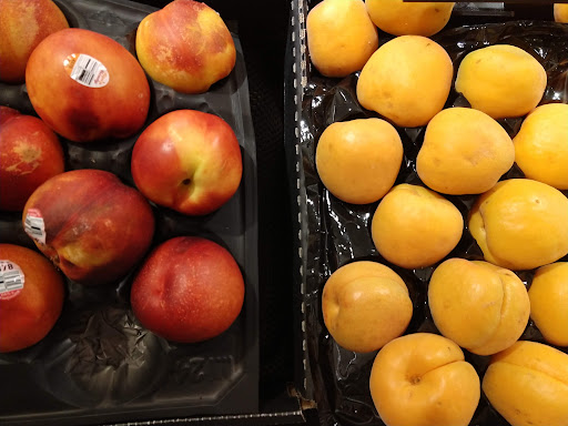 Grocery Store «Stop & Shop», reviews and photos, 1135 Farmington Ave, Berlin, CT 06037, USA