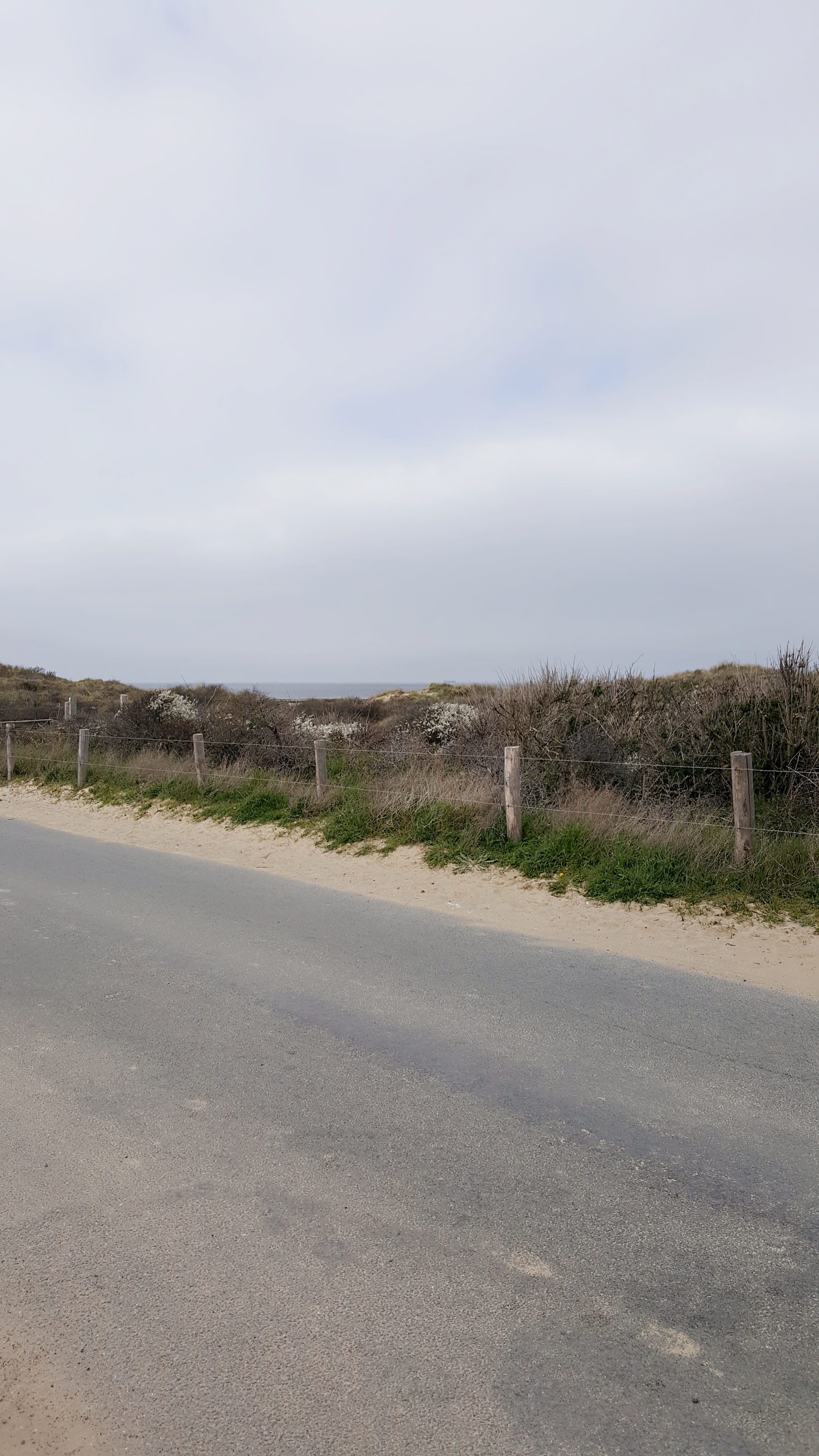 Photo n° 1 de l'avis de Janice.i fait le 06/04/2021 à 15:52