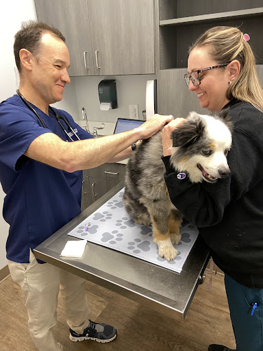 Belmont Animal Hospital image