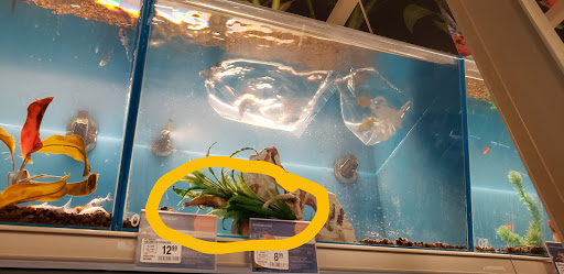 Pet Supply Store «PetSmart», reviews and photos, 355 Howe Ave, Cuyahoga Falls, OH 44221, USA