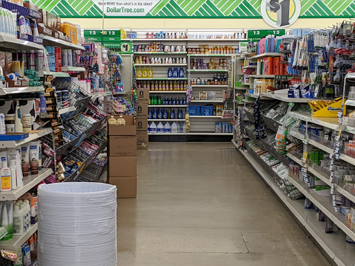 Dollar Store «Dollar Tree», reviews and photos, 35769 Van Born Rd, Romulus, MI 48174, USA