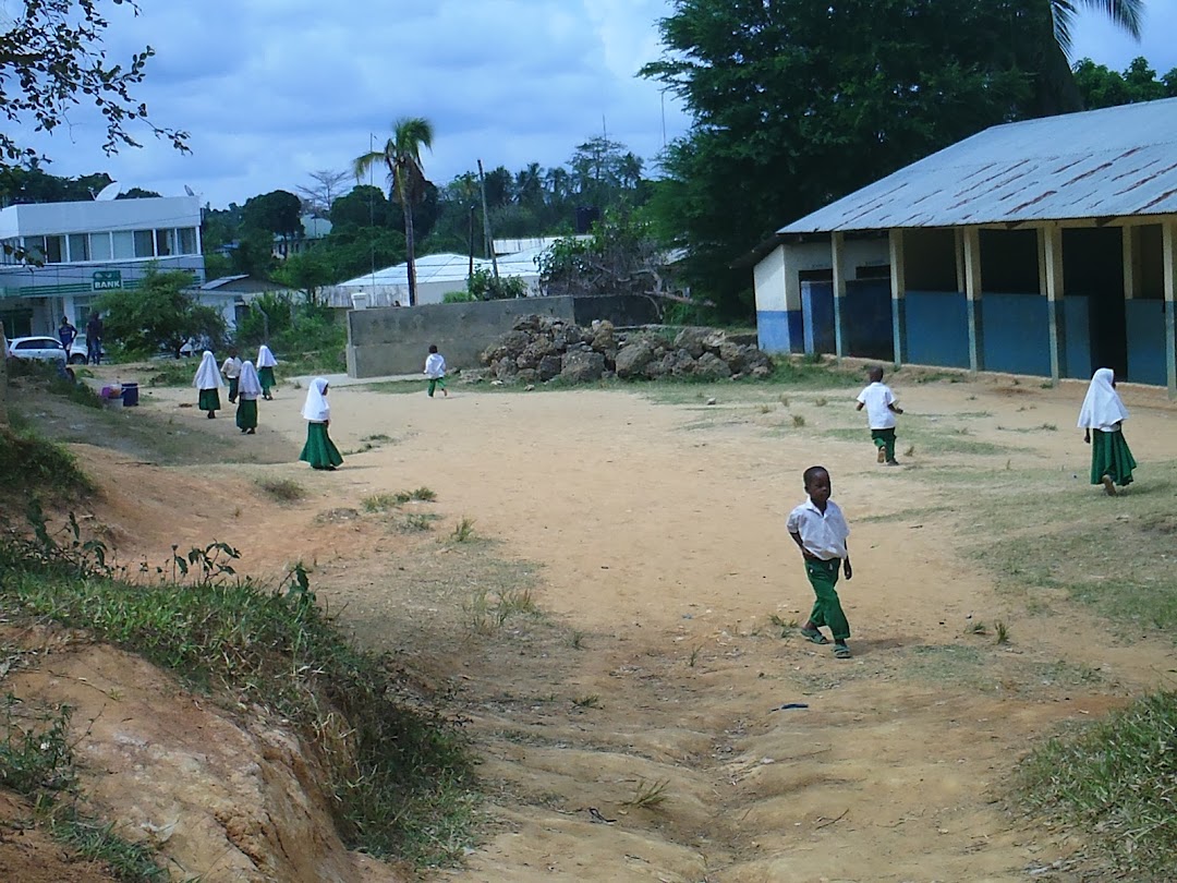 Madungu Primary School