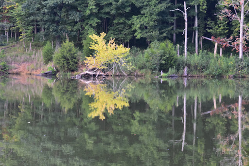 State Park «Radnor Lake State Park», reviews and photos, 1160 Otter Creek Rd, Nashville, TN 37220, USA