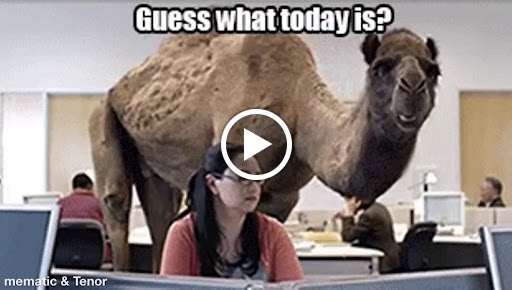 Dry Cleaner «Regal $2.50 Cleaners», reviews and photos, 3234 Florida Ave S, Lakeland, FL 33803, USA