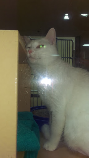 Pet Supply Store «PetSmart», reviews and photos, 4180 US-1, Monmouth Junction, NJ 08852, USA