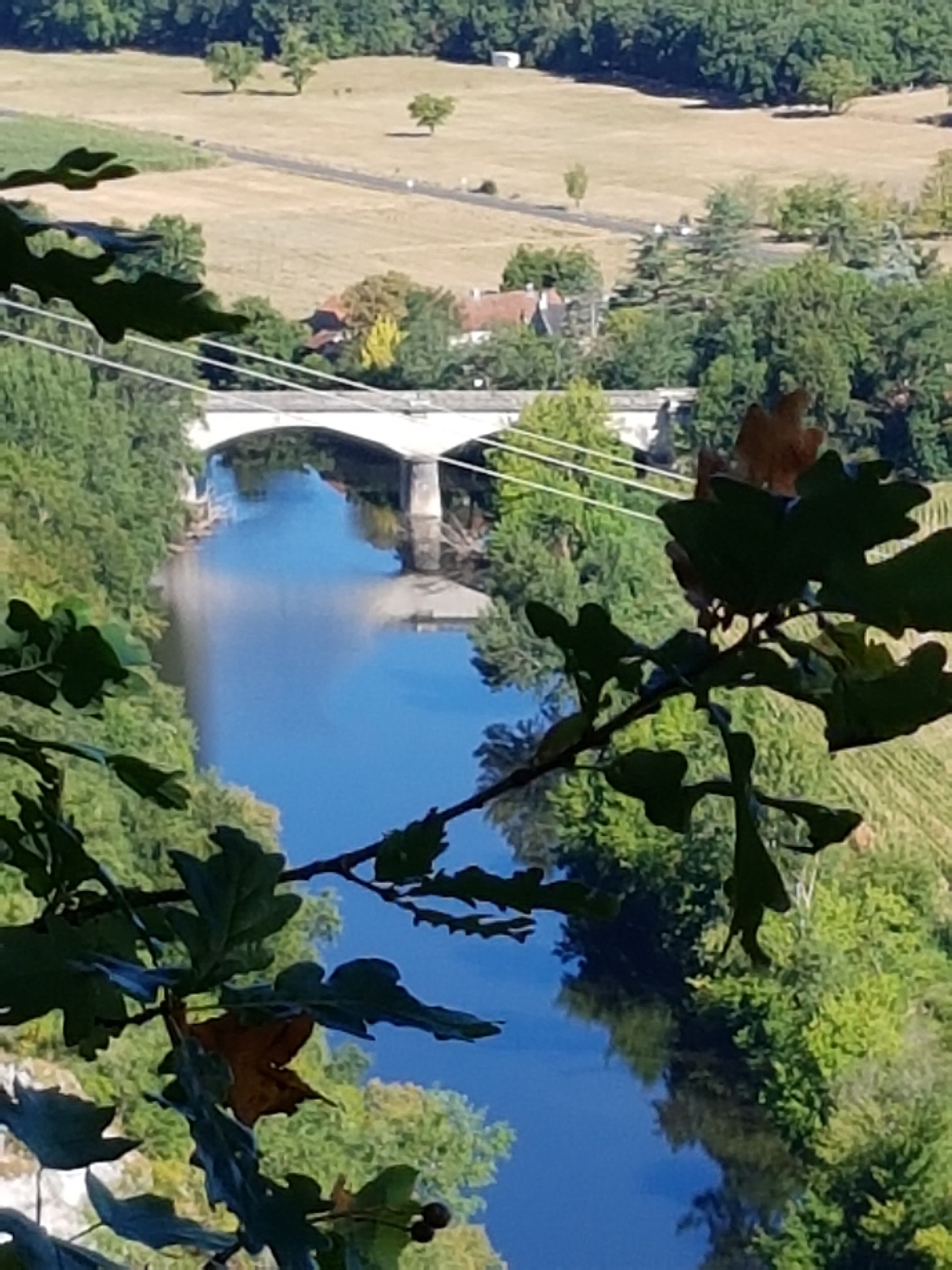 Photo n° 8 de l'avis de Thouvenot.o fait le 10/08/2020 à 13:46