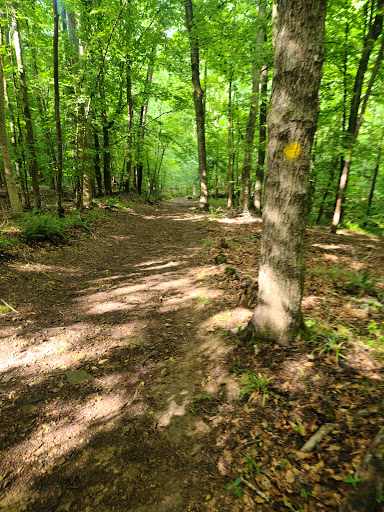 Holden Mill Trail