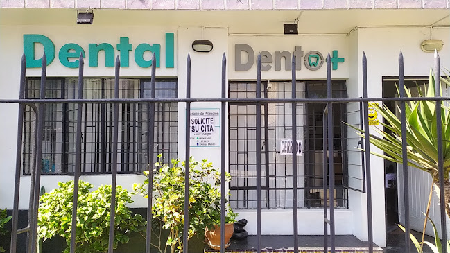 Dental Dento +