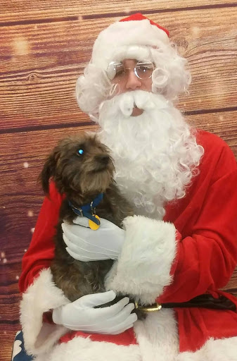 Pet Supply Store «PetSmart», reviews and photos, 45 Park Pl Dr, Covington, LA 70433, USA