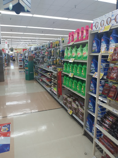 Grocery Store «Winn-Dixie», reviews and photos, 1360 Tampa Rd, Palm Harbor, FL 34683, USA