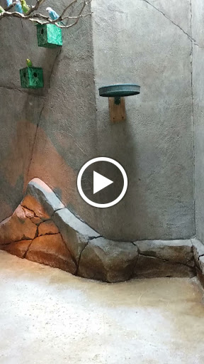 Aquarium «SeaQuest Interactive Aquarium», reviews and photos, 1201 N Hill Field Rd #1072, Layton, UT 84041, USA