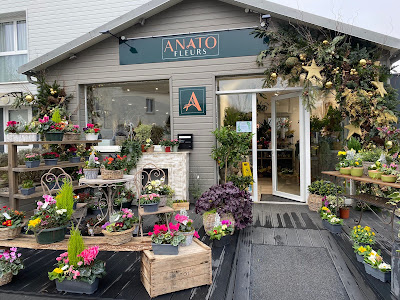 ANATO FLEURS à Falaise